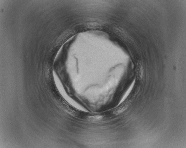 X0000072980266200608211357