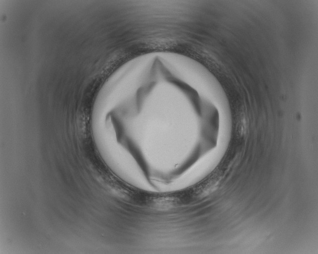 X0000072980268200608211357