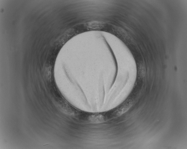 X0000072980271200608211357