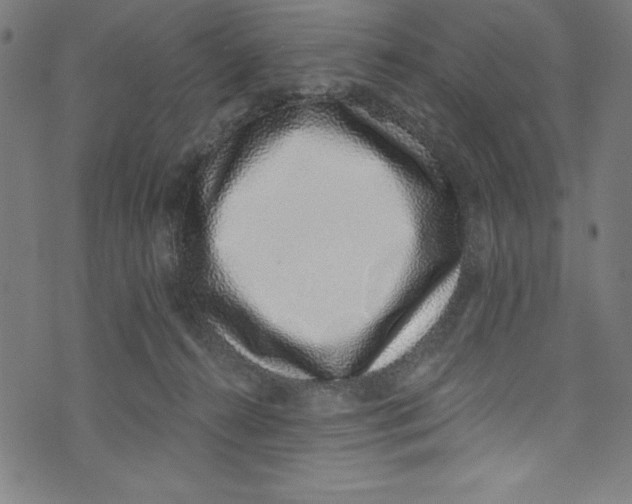 X0000072980272200608211357