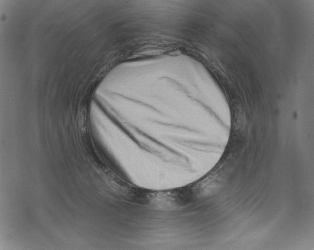 X0000072980273200608211357