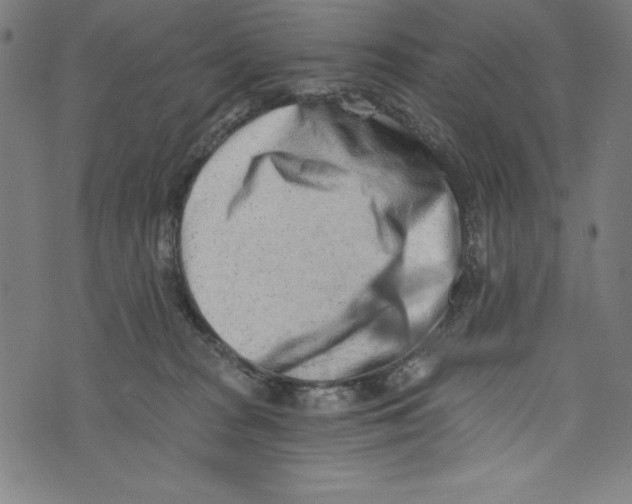 X0000072980277200608211357
