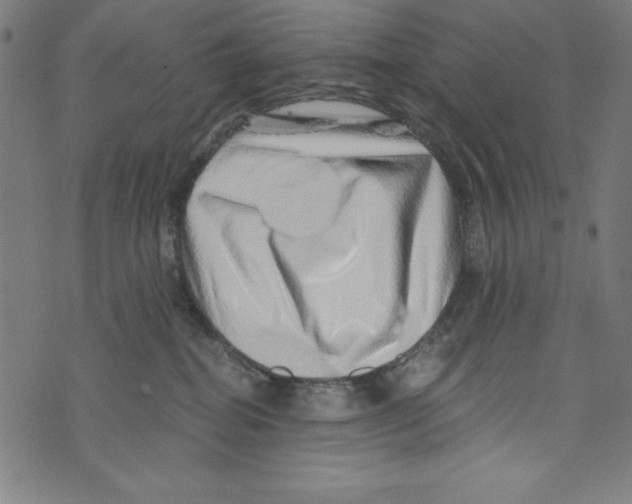 X0000072980282200608211357