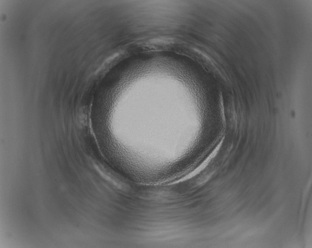 X0000072980284200608211357