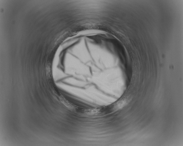 X0000072980288200608211357