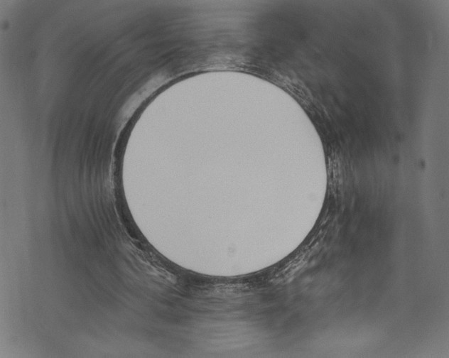 X0000072980292200608211356