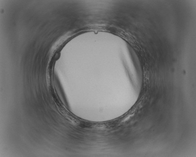 X0000072980294200608211356