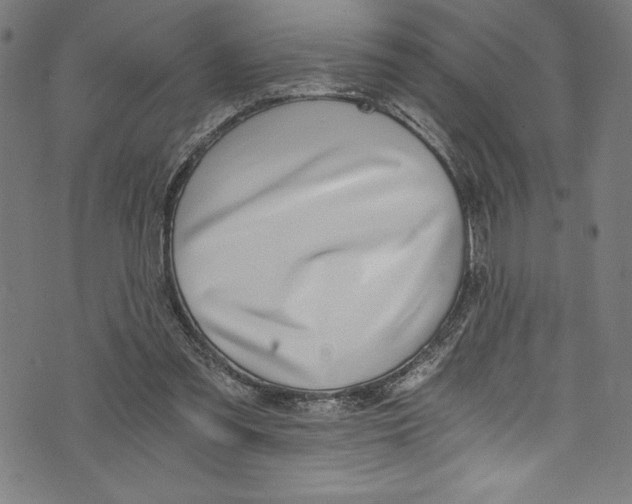X0000072980301200608211356