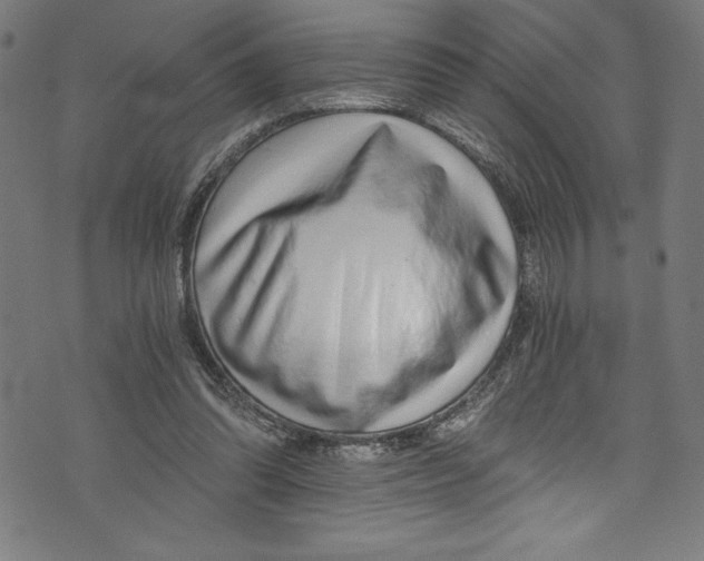 X0000072980302200608211356