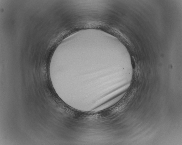 X0000072980306200608211356