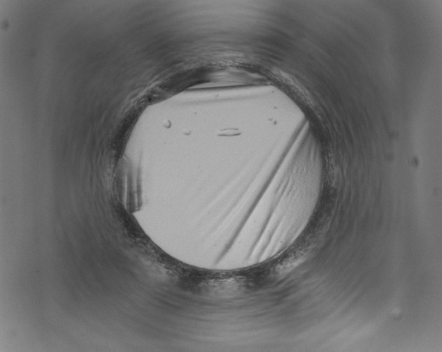 X0000072980307200608211356