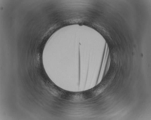 X0000072980308200608211356
