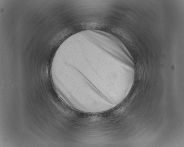 X0000072980310200608211356