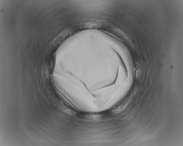 X0000072980313200608211356