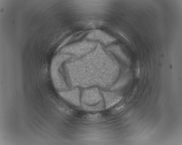 X0000072980314200608211356