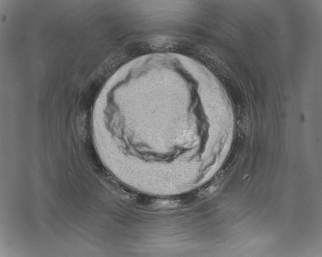 X0000072980319200608211356