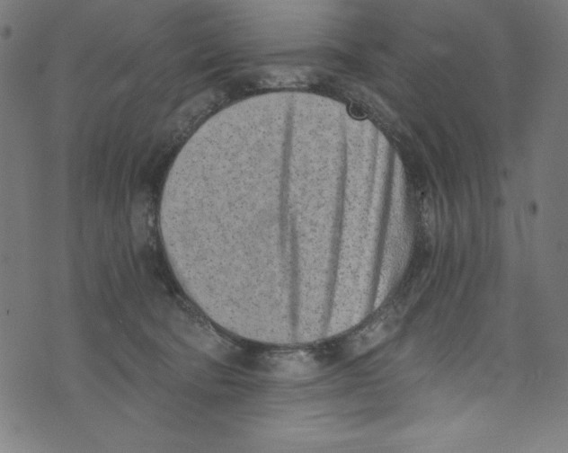 X0000072980322200608211356