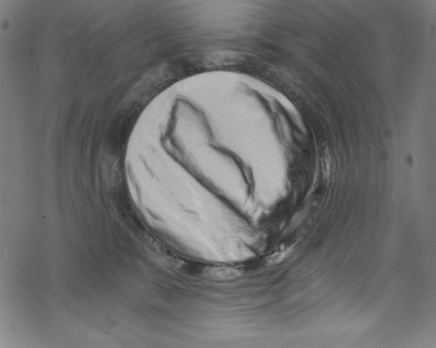 X0000072980327200608211356