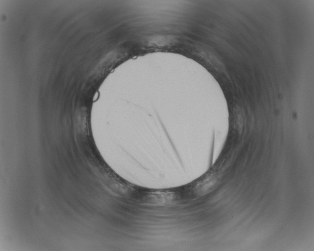 X0000072980328200608211356