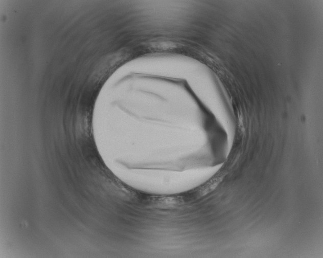 X0000072980330200608211356