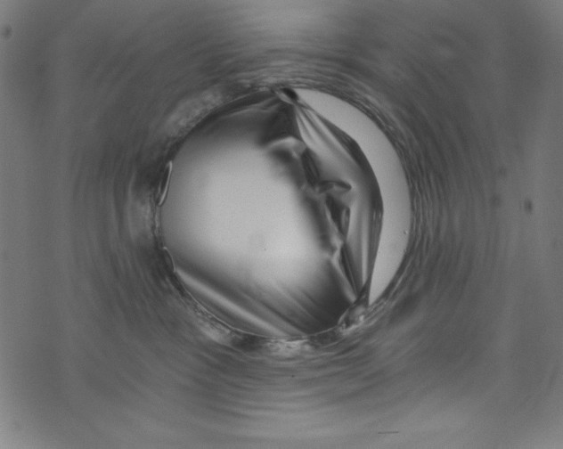 X0000072980333200608211356