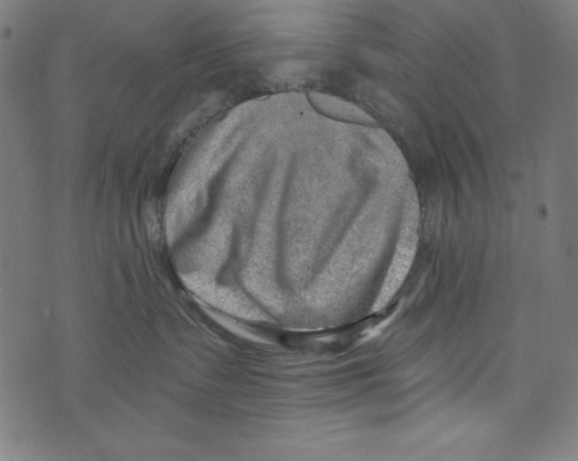 X0000072980335200608211356