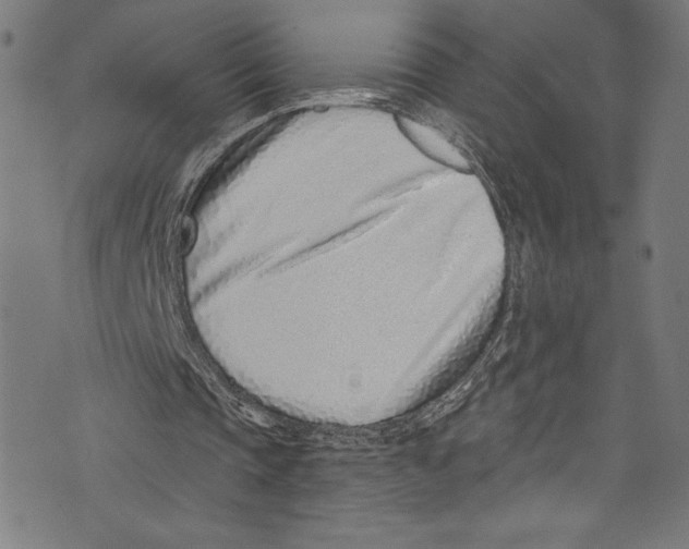 X0000072980337200608211355