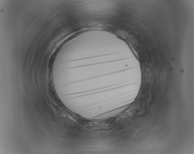 X0000072980338200608211355