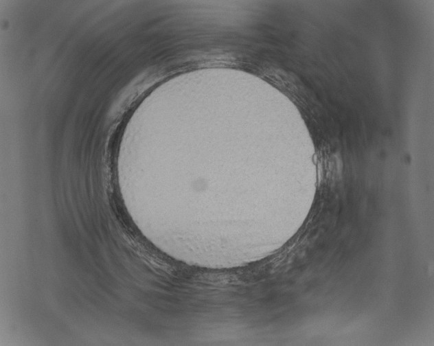 X0000072980339200608211355