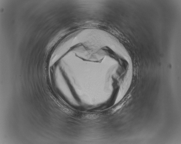 X0000072980341200608211355