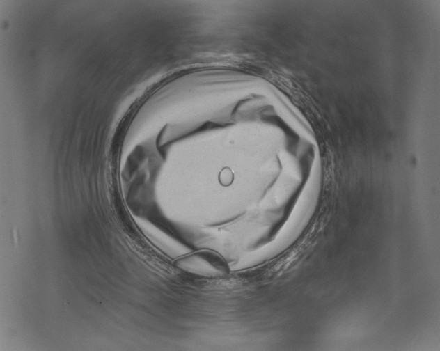 X0000072980342200608211355