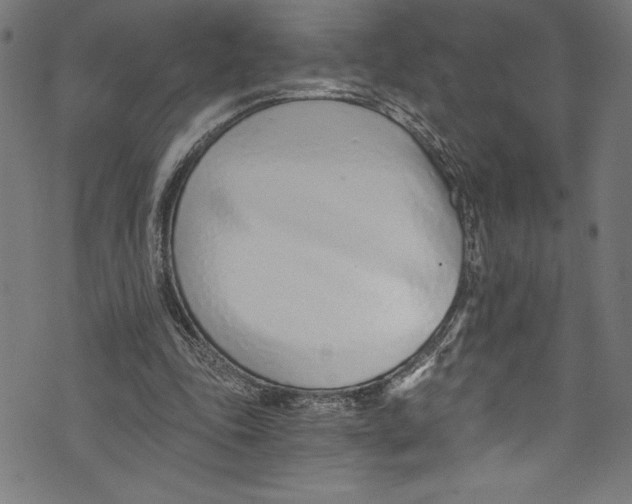 X0000072980343200608211355