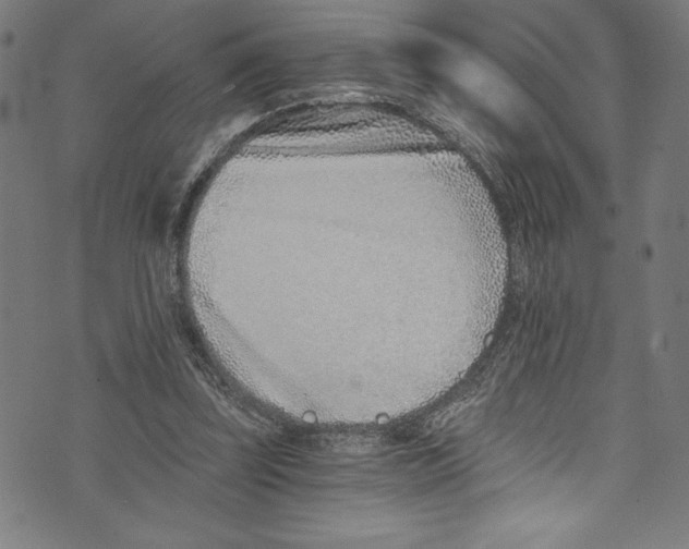 X0000072980347200608211355