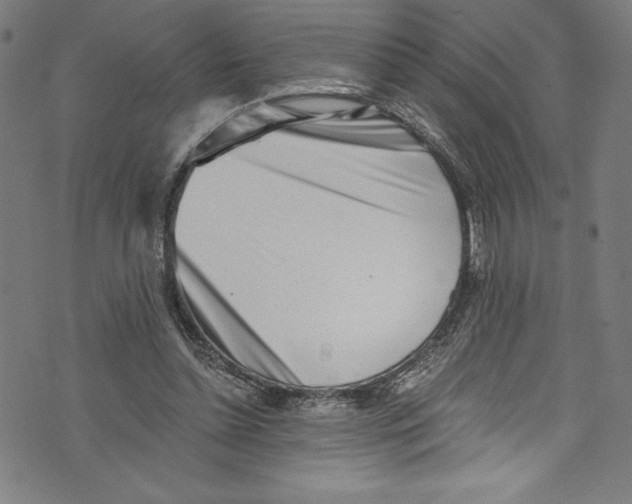 X0000072980348200608211355