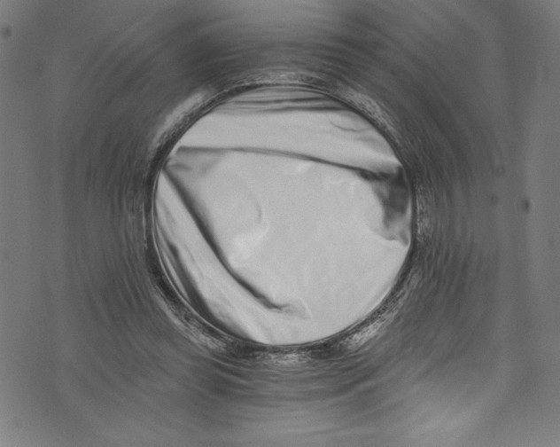 X0000072980349200608211355