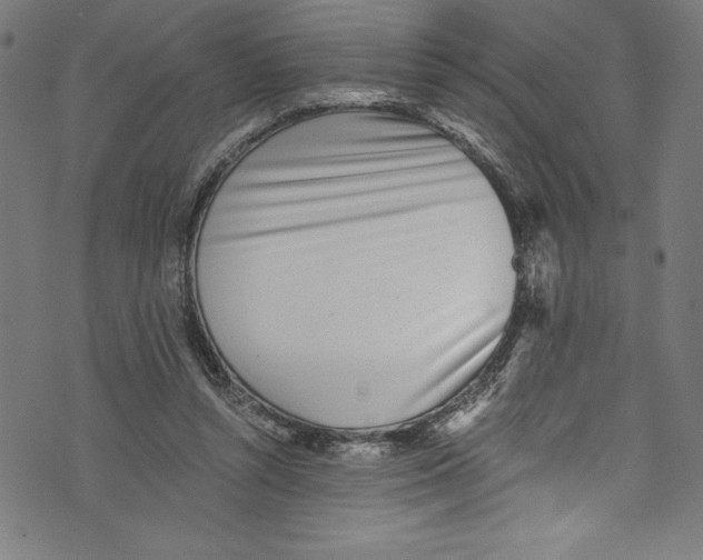 X0000072980352200608211355
