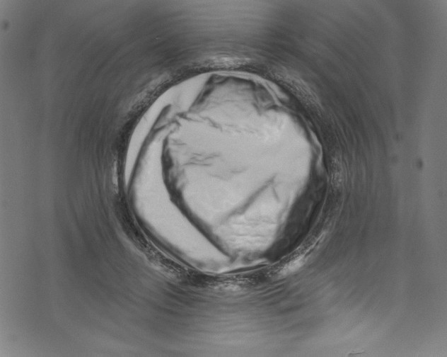 X0000072980358200608211355