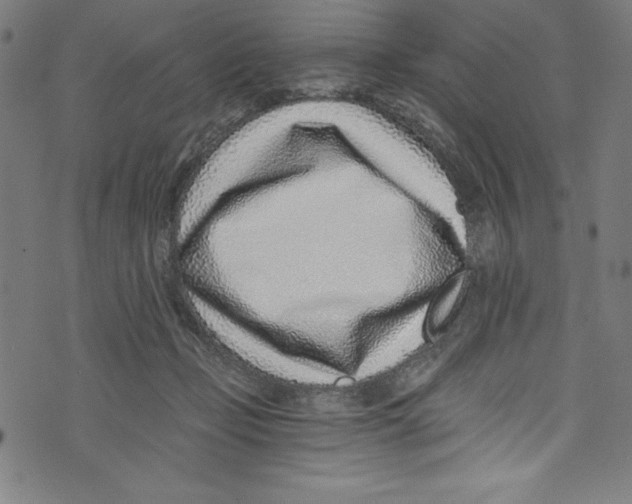 X0000072980365200608211355