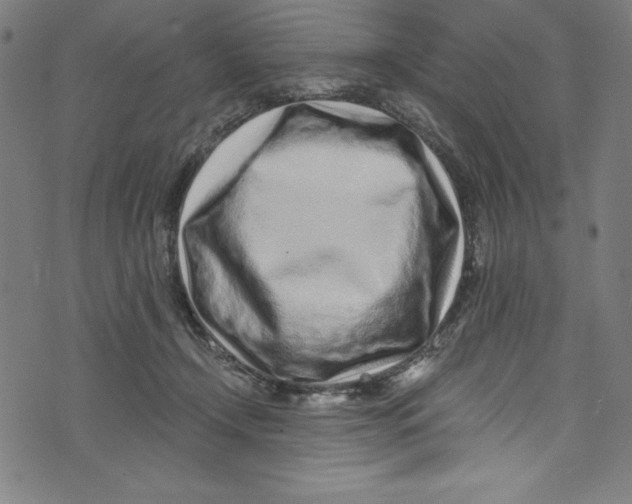 X0000072980366200608211355