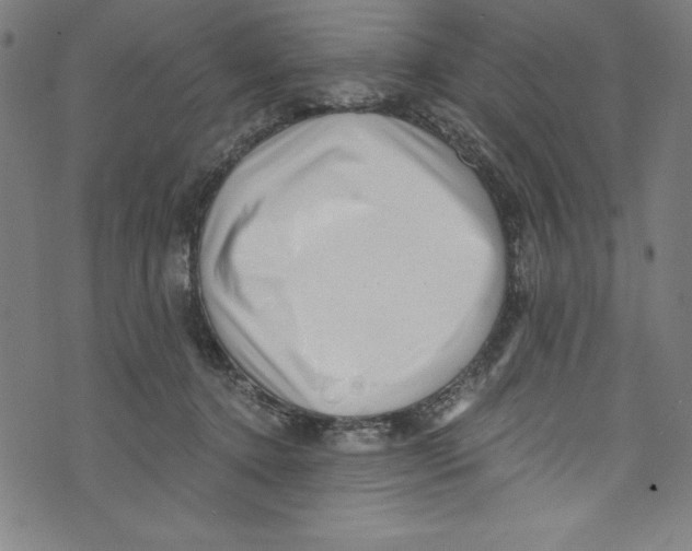X0000072980368200608211355