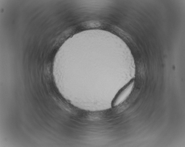X0000072980373200608211355