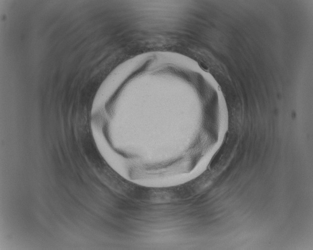 X0000072980376200608211356