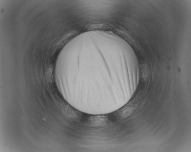 X0000072980378200608211356
