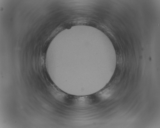 X0000072980382200608211356