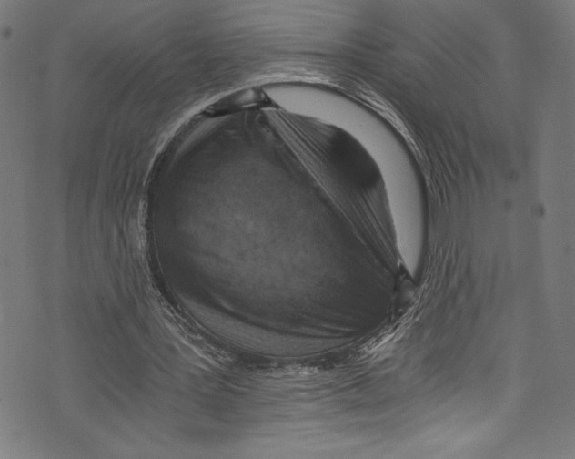X0000072980387200608211355