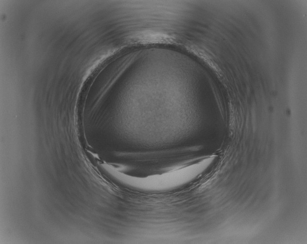 X0000072980391200608211355
