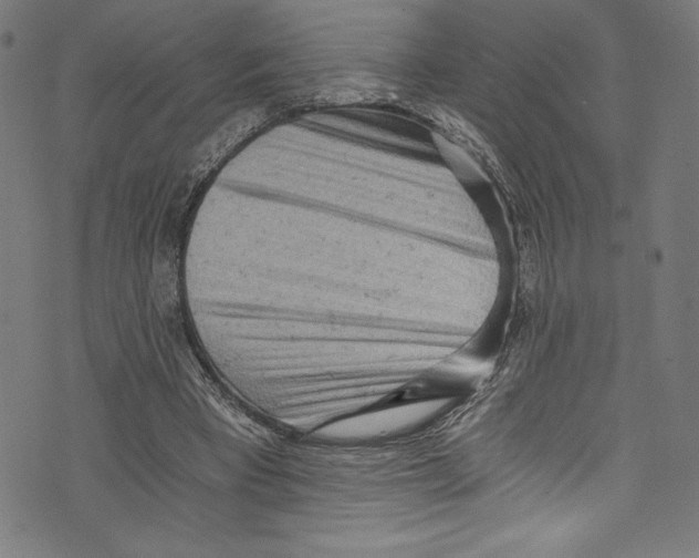 X0000072980393200608211355