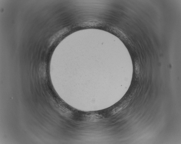 X0000072980396200608211355