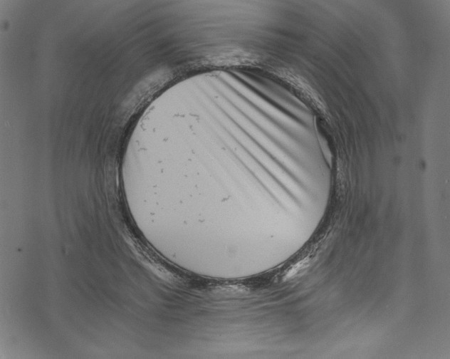 X0000072980397200608211355
