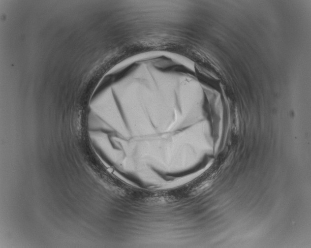 X0000072980404200608211355
